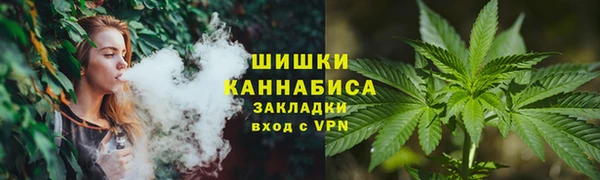 твердый Инсар