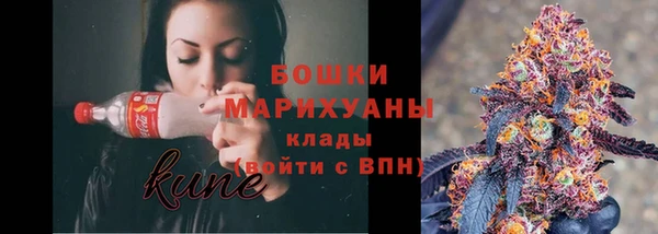 твердый Инсар