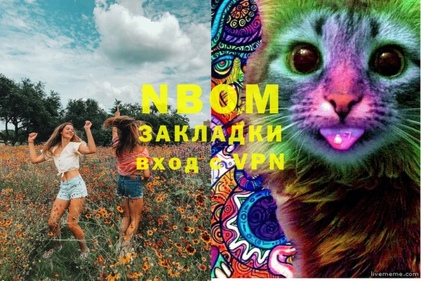 первитин Инта