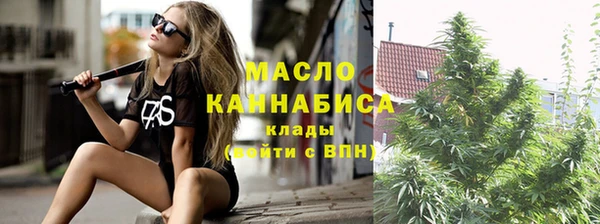 твердый Инсар