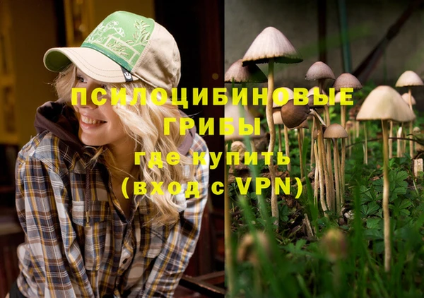 твердый Инсар