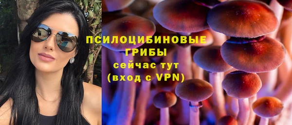 а пвп мука Иннополис